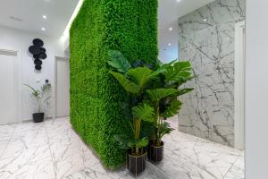 una pared verde en una habitación con plantas en Antares Luxury Rooms, en Split