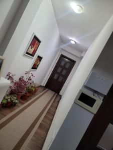 um corredor com uma porta e alguns vasos de plantas em Guesthouse Kocibelli em Korçë