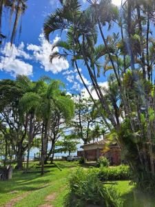una casa con palmeras frente a un patio en Casa Pé na Areia Cantão do Bora Bora - Manaaki Surf Hostel en São Sebastião