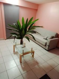 a living room with a couch and a potted plant at Vacances agréables c'est ici in Les Abymes
