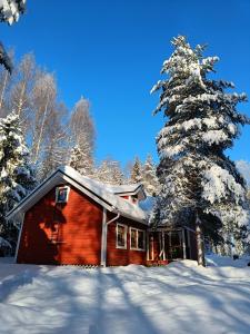 ein schneebedecktes Haus mit einem Baum in der Unterkunft Villa Talvitahko 5 in Tahkovuori