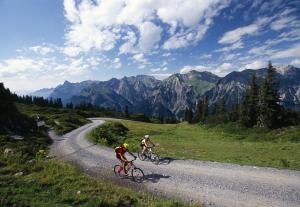 Dos personas en bicicleta en una carretera en las montañas en Apartment Michaeli, en Pettneu am Arlberg