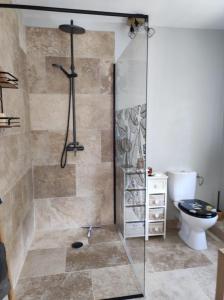 a bathroom with a shower and a toilet at le pavillon in Vire-sur-Lot