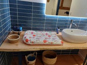 eine Badezimmertheke mit einem Waschbecken und einem Handtuch in der Unterkunft La MIDAD in La Chapelle-Thècle