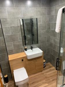 ein Badezimmer mit einem Waschbecken, einem WC und einem Spiegel in der Unterkunft Modern Grassmarket Apartment in Edinburgh