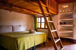 a bedroom with a bunk bed and a ladder at Cabañas Sierra Gorda in Jalpan de Serra