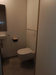 a bathroom with a white toilet and a refrigerator at Central Studio in Kortrijk in Kortrijk