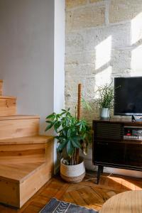 a living room with a flat screen tv and plants at Appartement gare Saint jean in Bordeaux