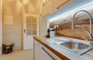 a kitchen with a sink and a wooden wall at Dream Apartments Prague in Prague