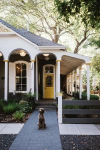 um pequeno cão sentado em frente a uma casa em Brannan Cottage Inn em Calistoga