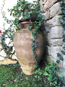 een grote vaas met een plant naast een muur bij San Noto casina di caccia con piscina riscaldata 