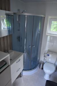 a bathroom with a toilet and a glass shower at Haus "Blücher" TinyHouse Mobilheim in Stuer