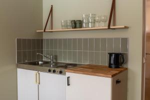 a kitchen with a sink and a counter top at Glaskogen Apartments in Glava