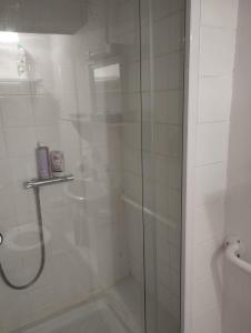 a shower with a glass door in a bathroom at Petit Coin de Paradis Studio in Moyon