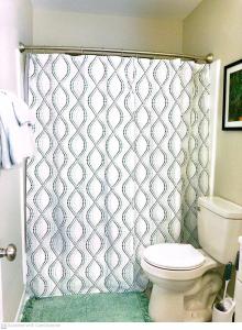 a bathroom with a toilet and a shower curtain at Liberty Towne in Fayetteville