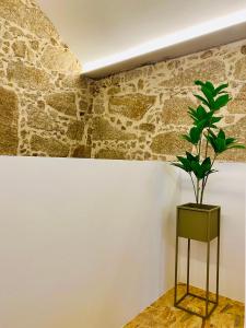 a plant on a stand in front of a wall at Quinta Lourenca - Vila do Conde in Vilar