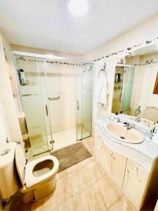 a bathroom with a toilet and a sink and a shower at Apartamento Centro Torremolinos con Solarium in Torremolinos