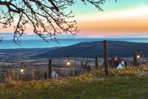 una vista desde la colina de un viñedo al atardecer en Kis Vulkán Nyúlontúl, en Mencshely