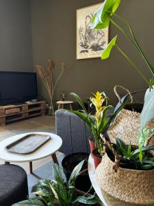 un soggiorno pieno di piante e di una TV di Les Copains d'Abord a Nîmes