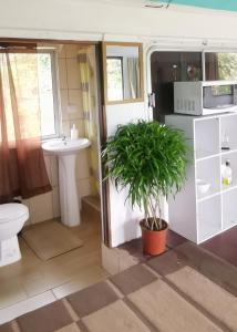- Baño en una cabaña con fregadero y planta en Dreamcatcher House Bus Experience 2 en Sarchí