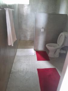 a bathroom with a toilet and a red rug at UNDERBERG INN in Underberg