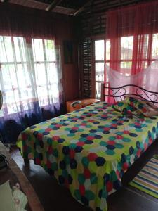 a bed with a colorful comforter in a room with windows at PALOMINO- HOSTEL BALNEARIO RIO ANCHO in Palomino