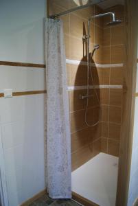 a shower with a shower curtain in a bathroom at Gîte de Magneux - Spa/Jacuzzi in Amions