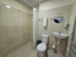 a bathroom with a toilet and a sink and a shower at Celestino - Casa de Huespedes in Guaduas