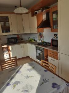 een keuken met een tafel en een fornuis top oven bij La Casa di Boh, vicino ospedale San Paolo, Iulm, Forum Assago in Milaan