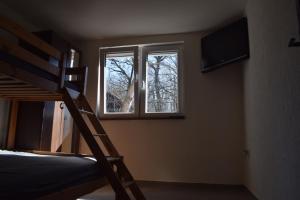 Bezdan的住宿－Apartman Danube，一间卧室配有双层床和窗户。
