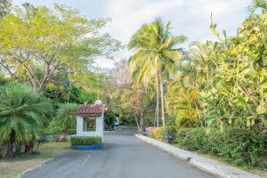 a street in a park with palm trees at Hotel Aeropuerto in Alajuela City