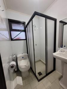a bathroom with a shower and a toilet and a sink at Hotel El Coihue in Pucón