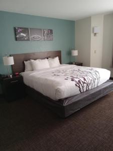 a large bed in a hotel room with two lamps at Sleep Inn & Suites Kingsport TriCities Airport in Kingsport