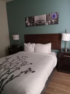 a bed in a hotel room with two lamps at Sleep Inn & Suites Kingsport TriCities Airport in Kingsport