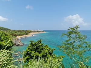 a view of a beach with trees and the ocean at Les Gîtes Kajou in Bouillante