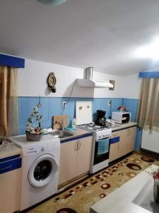 a kitchen with a washing machine and a sink at Casa Cristian in Câmpulung Moldovenesc