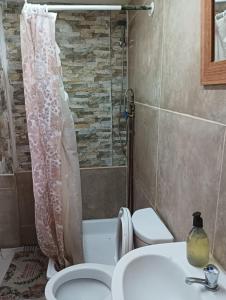 a bathroom with a shower and a toilet and a sink at Hostal Pampaloja in Antofagasta