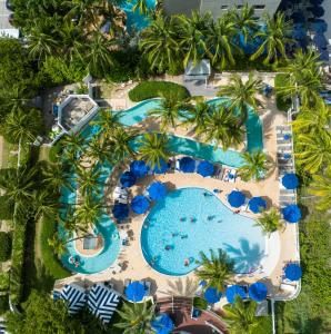 an overhead view of a pool at a resort at Pelican Grand Beach Resort, a Noble House Resort in Fort Lauderdale