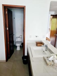 La salle de bains est pourvue d'un lavabo et de toilettes. dans l'établissement Hotel los tules 12-501, à Puerto Vallarta