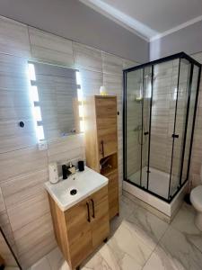 a bathroom with a sink and a glass shower at Apartament Lucjanek in Karpacz