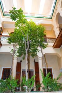 two trees in front of a building with columns at Riad Dar Zaouia in Marrakech