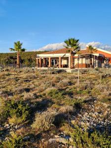 a house in the middle of a field with palm trees at Villa Melody Novalja in Novalja