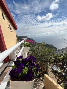 Un balcón con flores y vistas al océano. en Tropical House, en Ribeira Brava