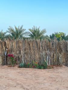 صورة لـ كوخ الملاذ الريفي MalathCottage في العلا