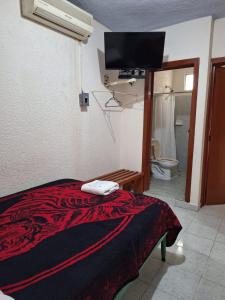 HOTEL CARMELITAS 42 في فيلاهيرموسا: غرفة نوم بسرير وتلفزيون بشاشة مسطحة