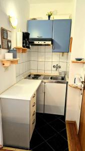 Kuchyňa alebo kuchynka v ubytovaní Viktorija Apartments