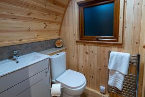 a bathroom with a toilet and a sink and a window at Missin' Link Glamping in West Hoathley