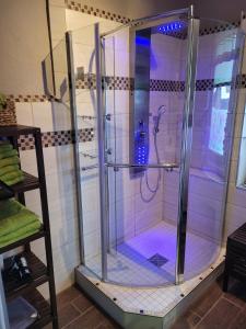 um chuveiro com uma caixa de vidro na casa de banho em Ferienwohnung Laura em Langelsheim
