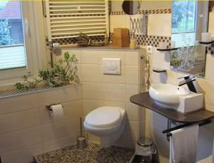 een badkamer met een toilet en een wastafel bij Ferienwohnung Laura in Langelsheim