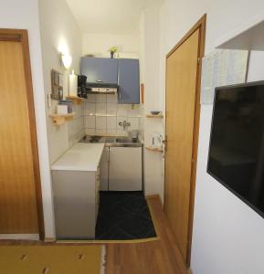 Kuchyňa alebo kuchynka v ubytovaní Viktorija Apartments